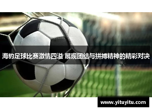 海豹足球比赛激情四溢 展现团结与拼搏精神的精彩对决